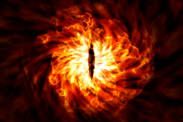 Qué es ese misterioso pez descubierto en el Amazonas