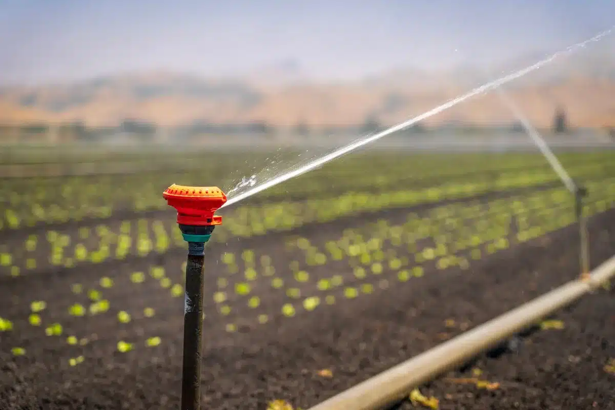 Campo agrícola con sistemas de riego en Piura durante condiciones climáticas adversas