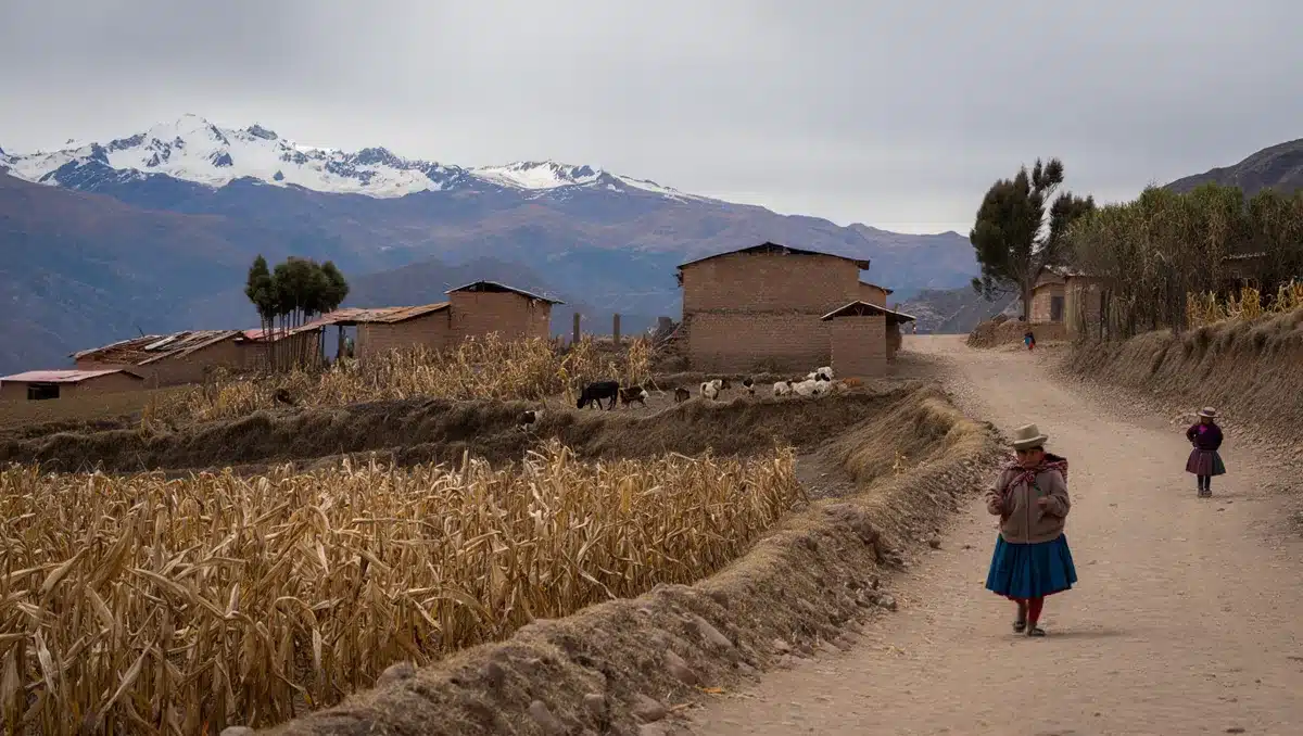 La Sierra y la Selva: ¿cómo les afecta? — A diferencia de la costa, las regiones andinas y amazónicas experimentan cambios distintos. En las montañas andinas, la principal característica durante El Niño es la notable reducción de precipitaciones. Esto puede llevar