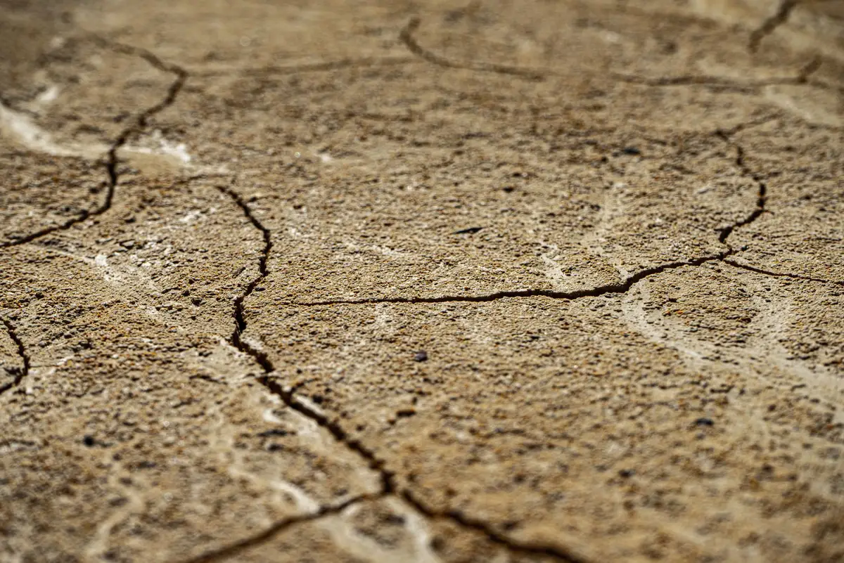 Campo agrícola afectado por sequía y condiciones climáticas adversas de El Niño