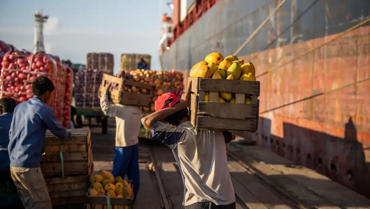 Un Vistazo a las Exportaciones Peruanas — En el último período, Perú ha visto un notable aumento en el valor de sus exportaciones, superando los 54,000 millones de dólares, lo que representa un crecimiento del 34%. Este auge en las exportaciones