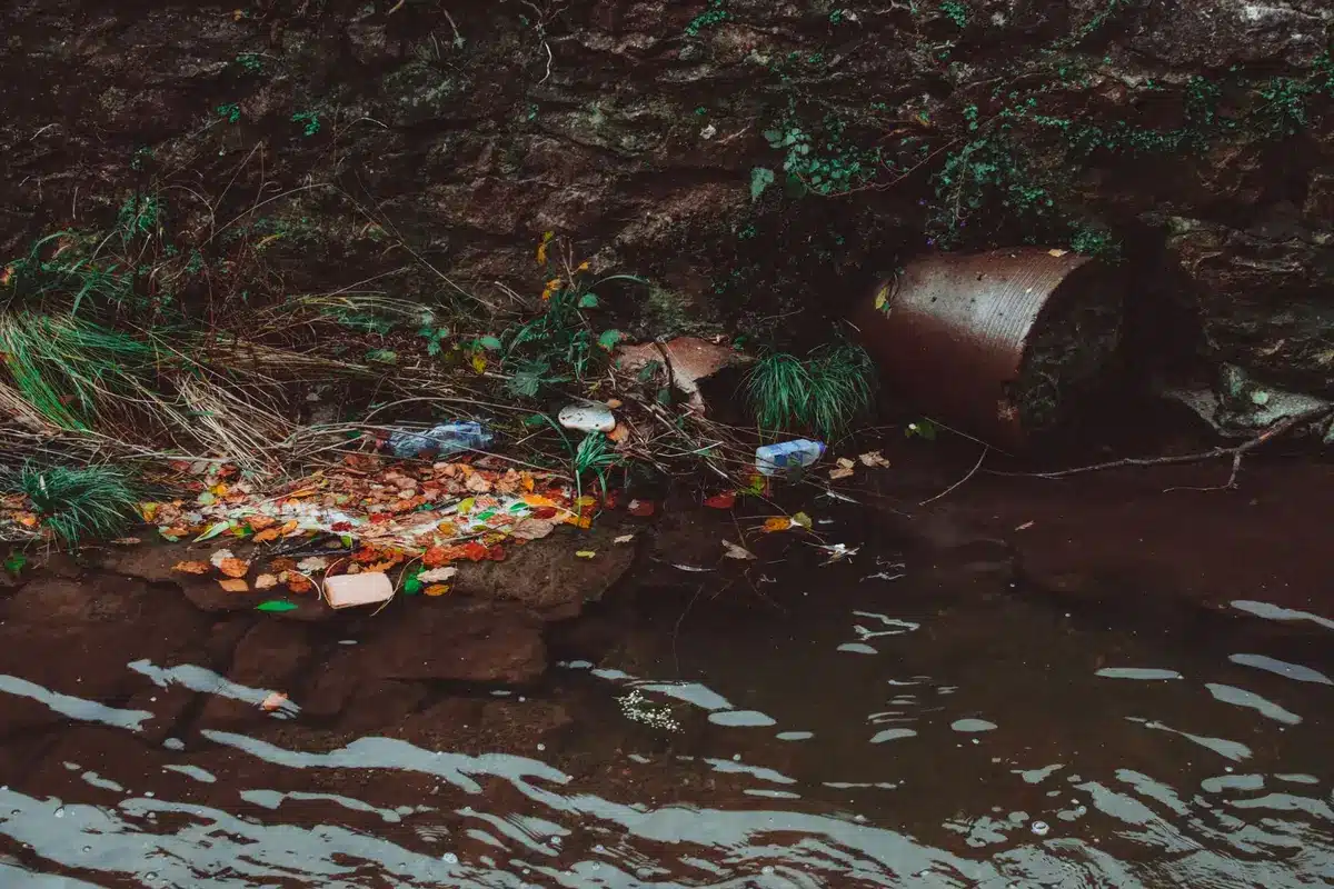 Gotas de agua sobre materiales reciclados en una feria de intercambio sostenible